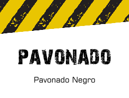 03.centro.contenido.pavonado-262x200-op2.jpg
